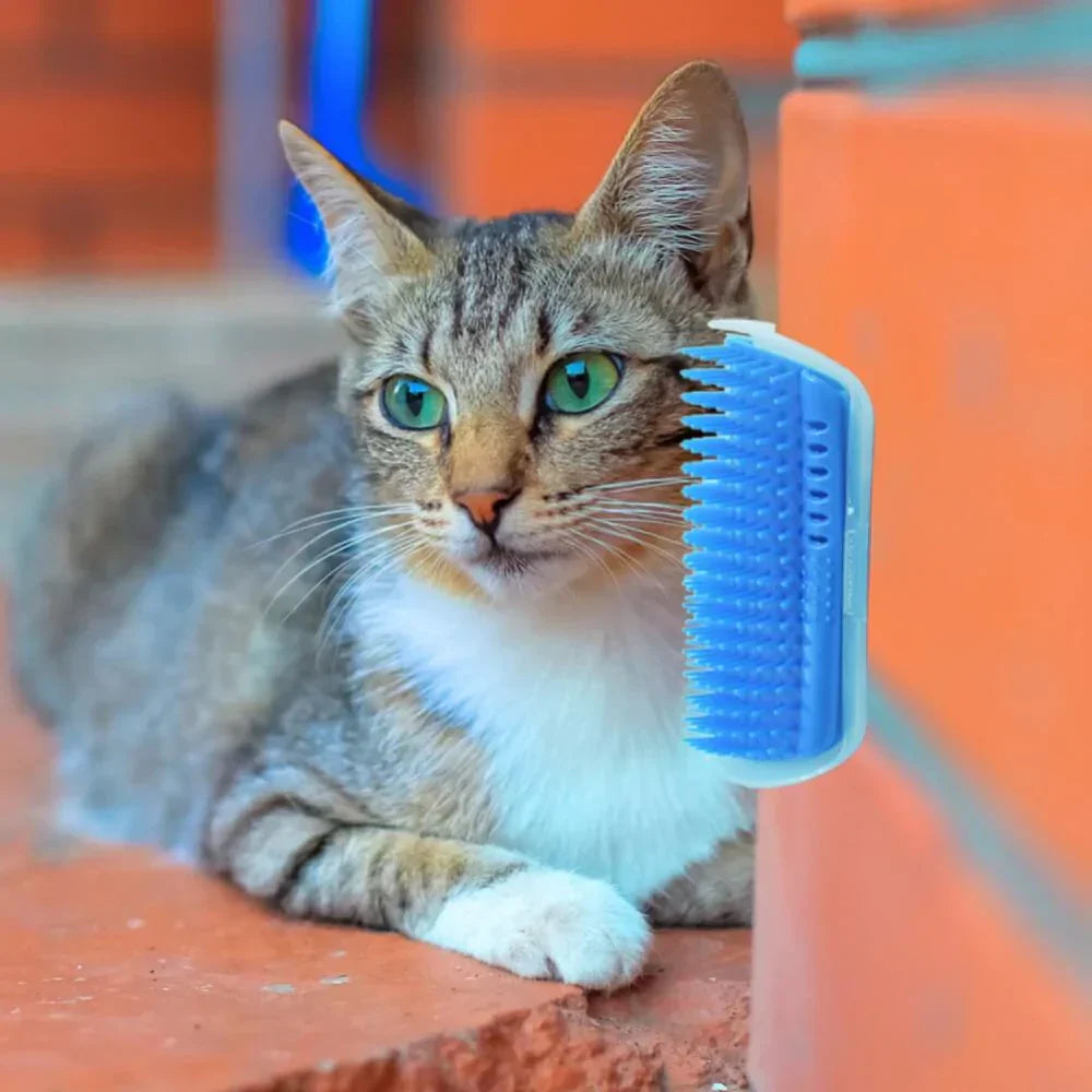 Cat Corner Brush for Self-Grooming - PurrGroom Bowlift