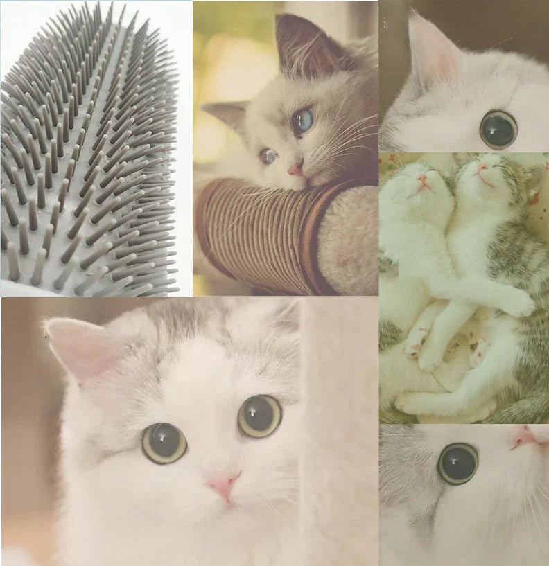 Cat Corner Brush for Self-Grooming - PurrGroom Bowlift
