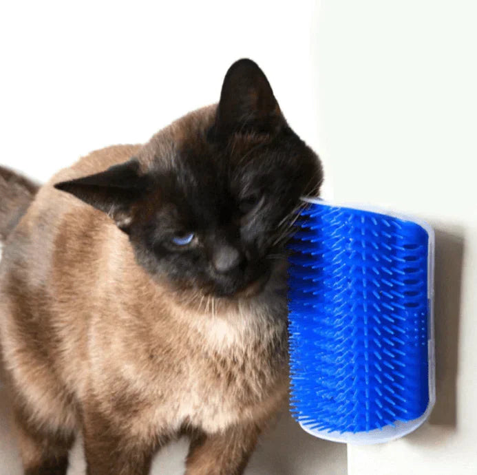 Cat Corner Brush for Self-Grooming - PurrGroom Bowlift