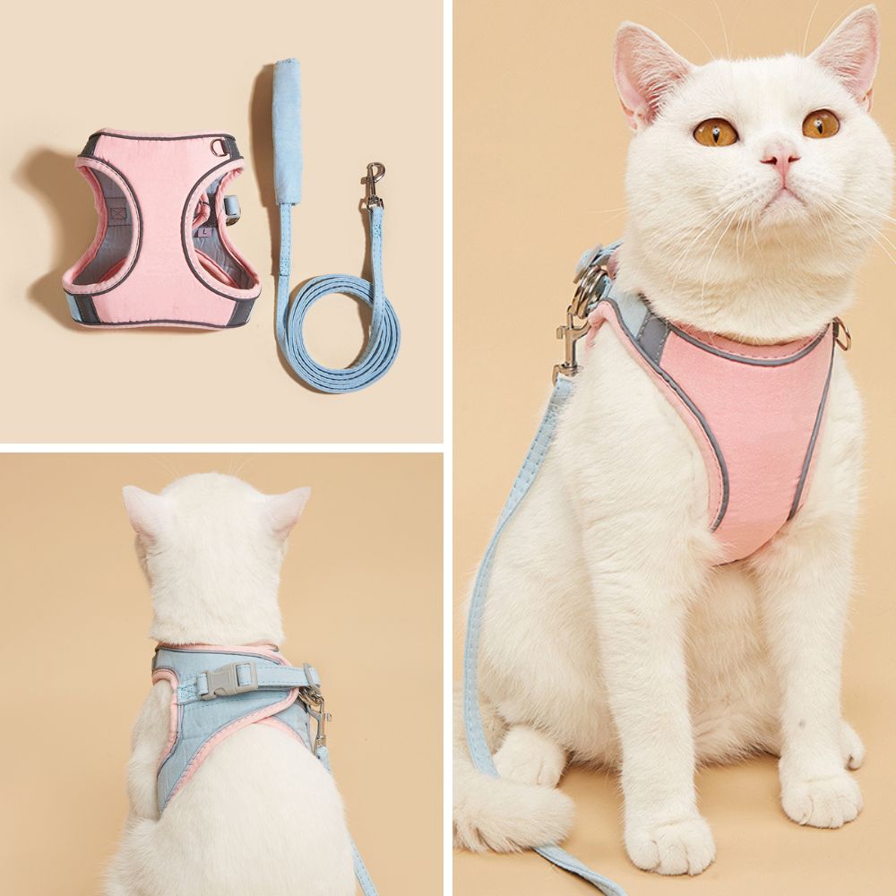 Cat Harness - Oscar Bowlift
