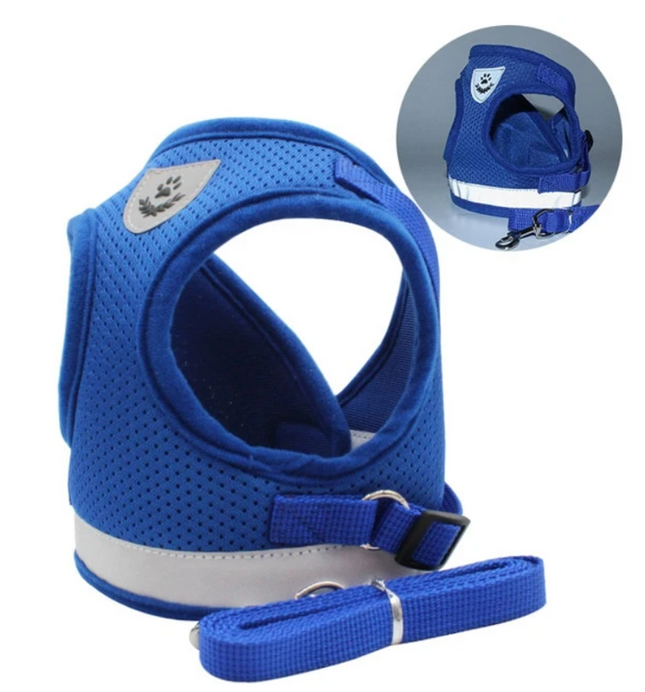 Cat Harness with Leash - AdventureKit Bowlift