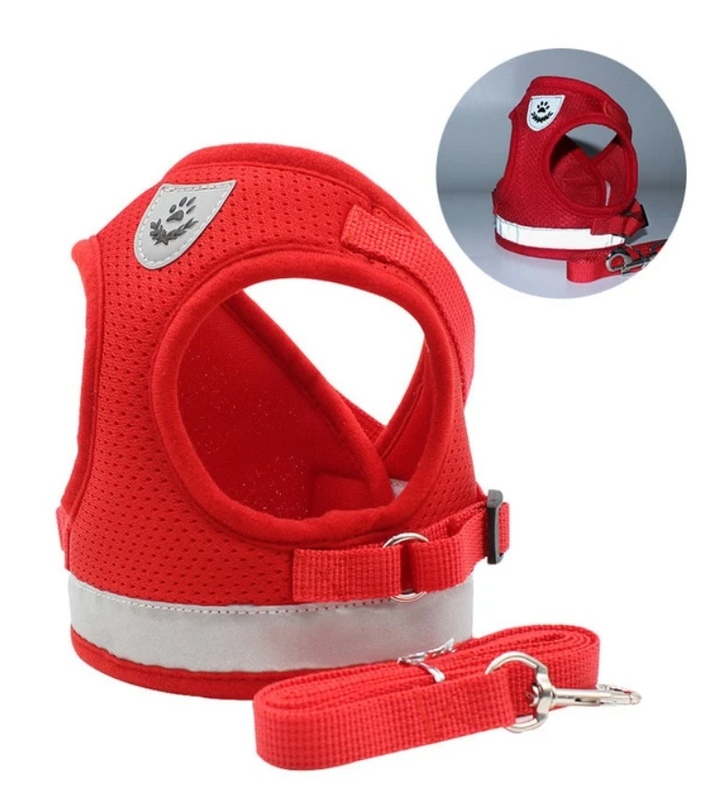 Cat Harness with Leash - AdventureKit Bowlift