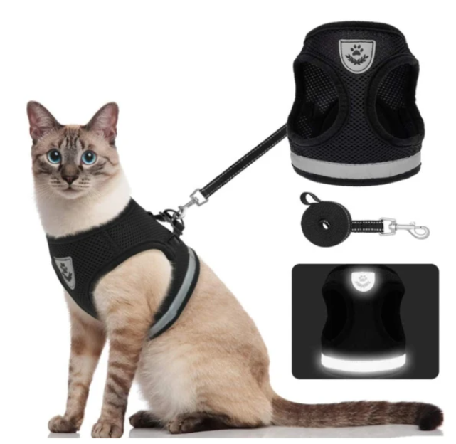 Cat Harness with Leash - AdventureKit Bowlift