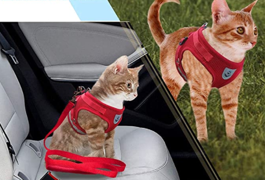 Cat Harness with Leash - AdventureKit Bowlift