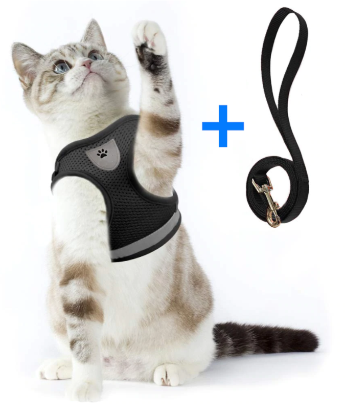 Cat Harness with Leash - AdventureKit Bowlift