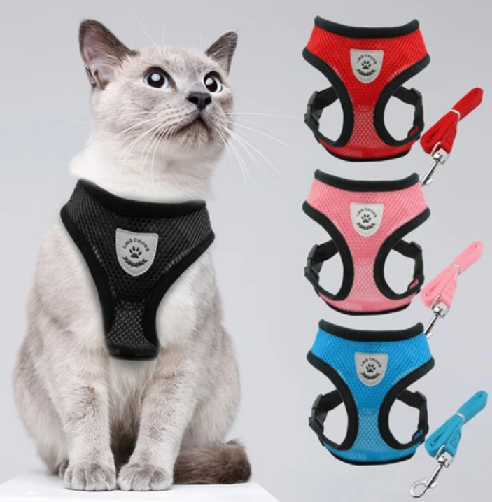 Cat Harness with Leash - AdventureKit Bowlift