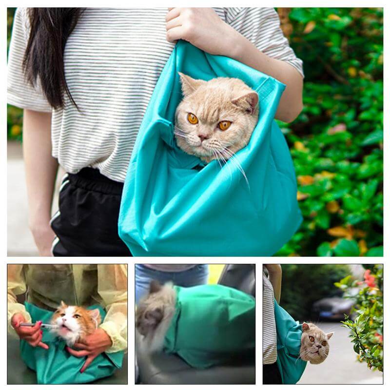 Cat Travel Bag for Comfortable Transport (Buy 1, Get 1 Free) - PurrPorter Bowlift