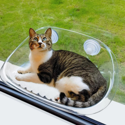 Cat Window - KittyView Bowlift