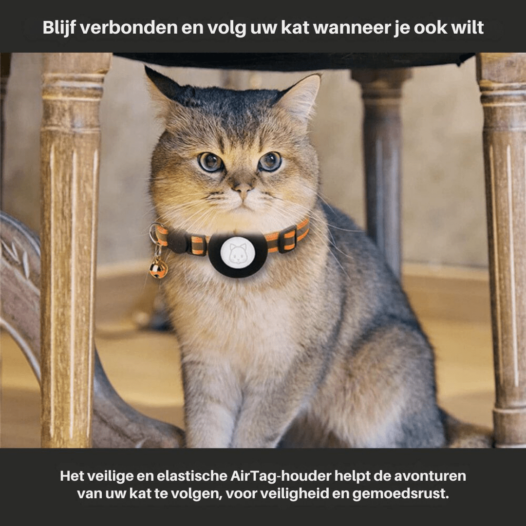 BowLift | CATSAFE TRACK – GPS tracker collar for safety & visibility in cats