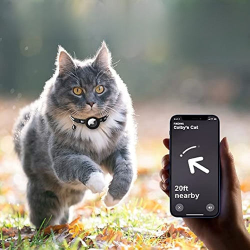 BowLift | CATSAFE TRACK – GPS tracker collar for safety & visibility in cats