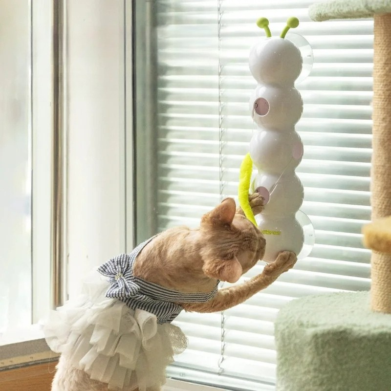 Automatic pop-up cat toy with motion sensor | Bowlift