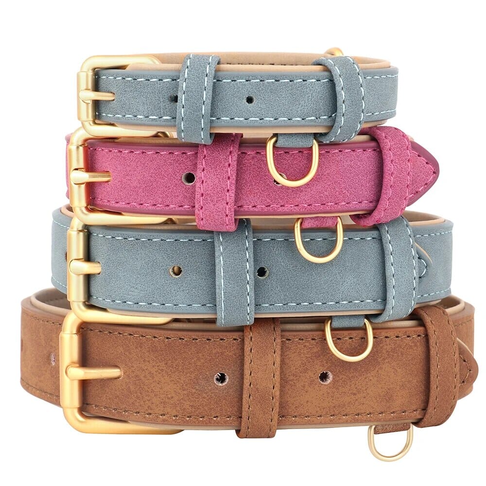 Bowlift Pup Collar