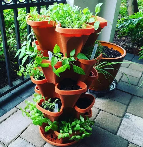 BowLift | Vertical Garden - PlantStack - Space-saving - Green Grid Solution