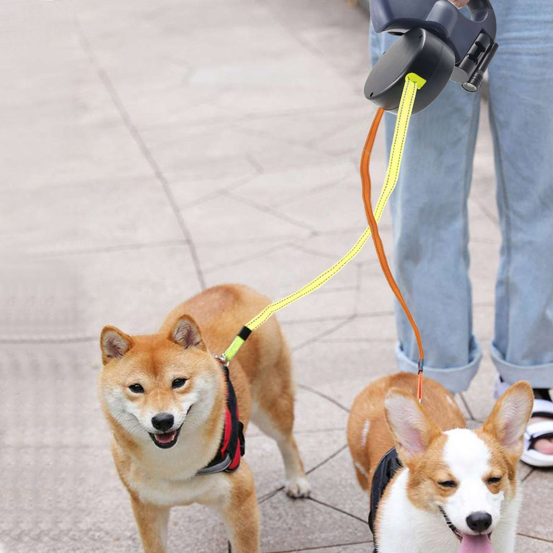 The Ultimate Solution for Dogs Bowlift