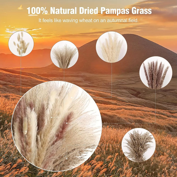 BowLift | 105pcs Natural Dried Flowers Pampas Grass Bouquet