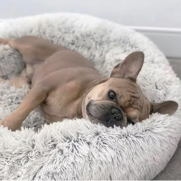 BowLift | PAWLOFT - Calming Pet Bed