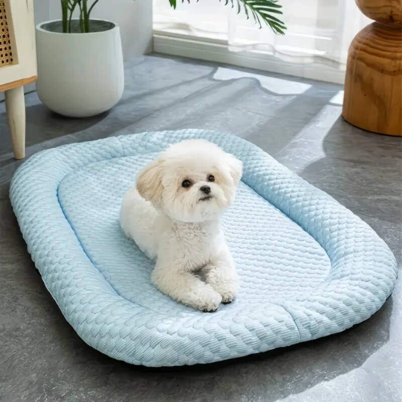 ChillPaws • Cooling Dog Bed - Cooling Dog Bed - BowLift