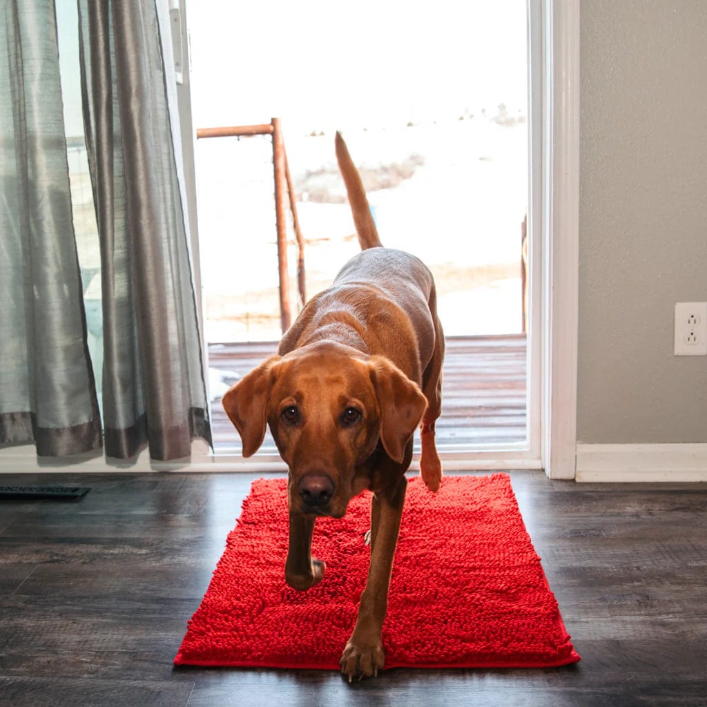 CleanPattoune - The Ultimate Absorbent Dog Mat - Absorbent Dog Mat - BowLift