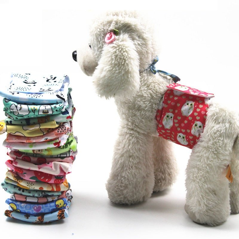 BowLift | PUPDRY Reusable – Leak-Proof Diaper for Incontinence and Training