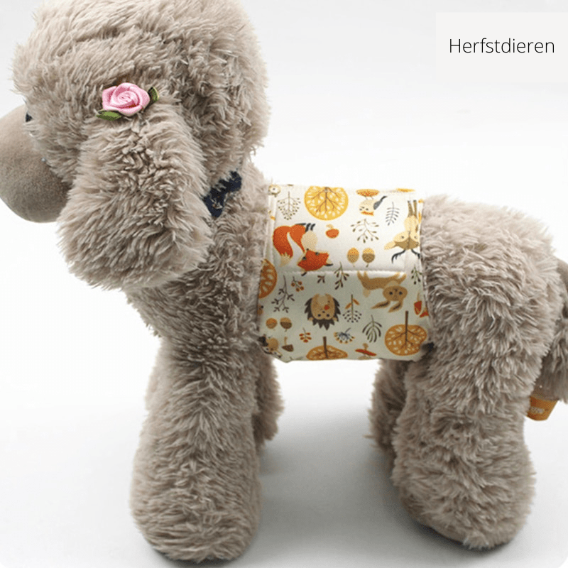 BowLift | PUPDRY Reusable – Leak-Proof Diaper for Incontinence and Training