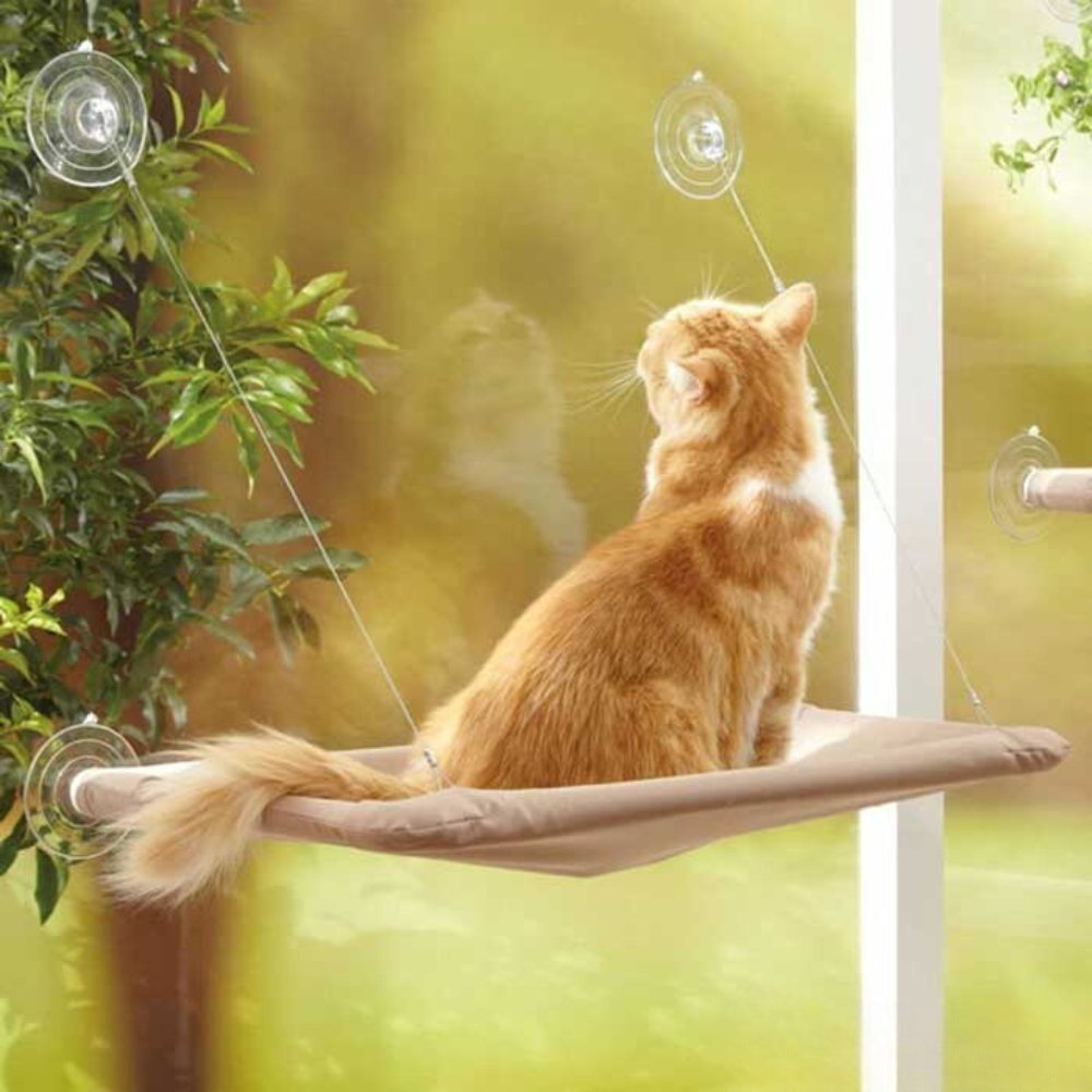 CloudNest • Cat Window Hammock - Cat Window Hammock - BowLift