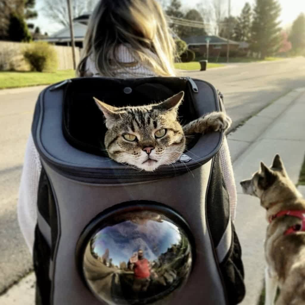 BowLift | Pet Carrier Backpack with Bubble Window Design