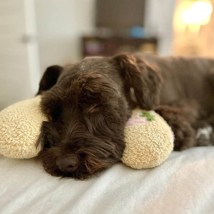 Comfortable Cushion for Dogs - CalmNest Bowlift