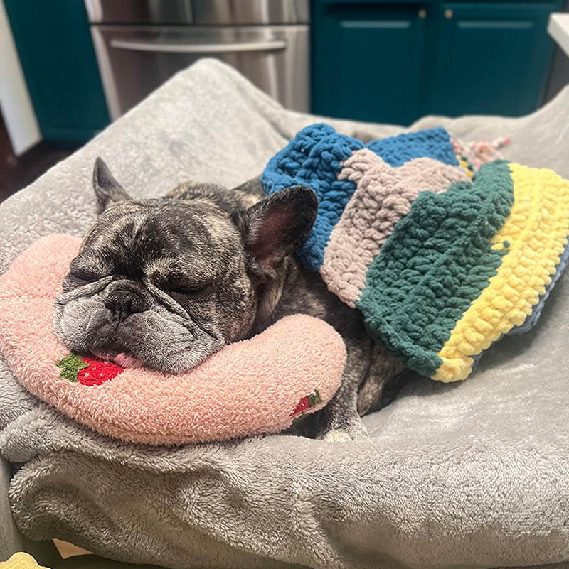 Comfortable Cushion for Dogs - CalmNest Bowlift