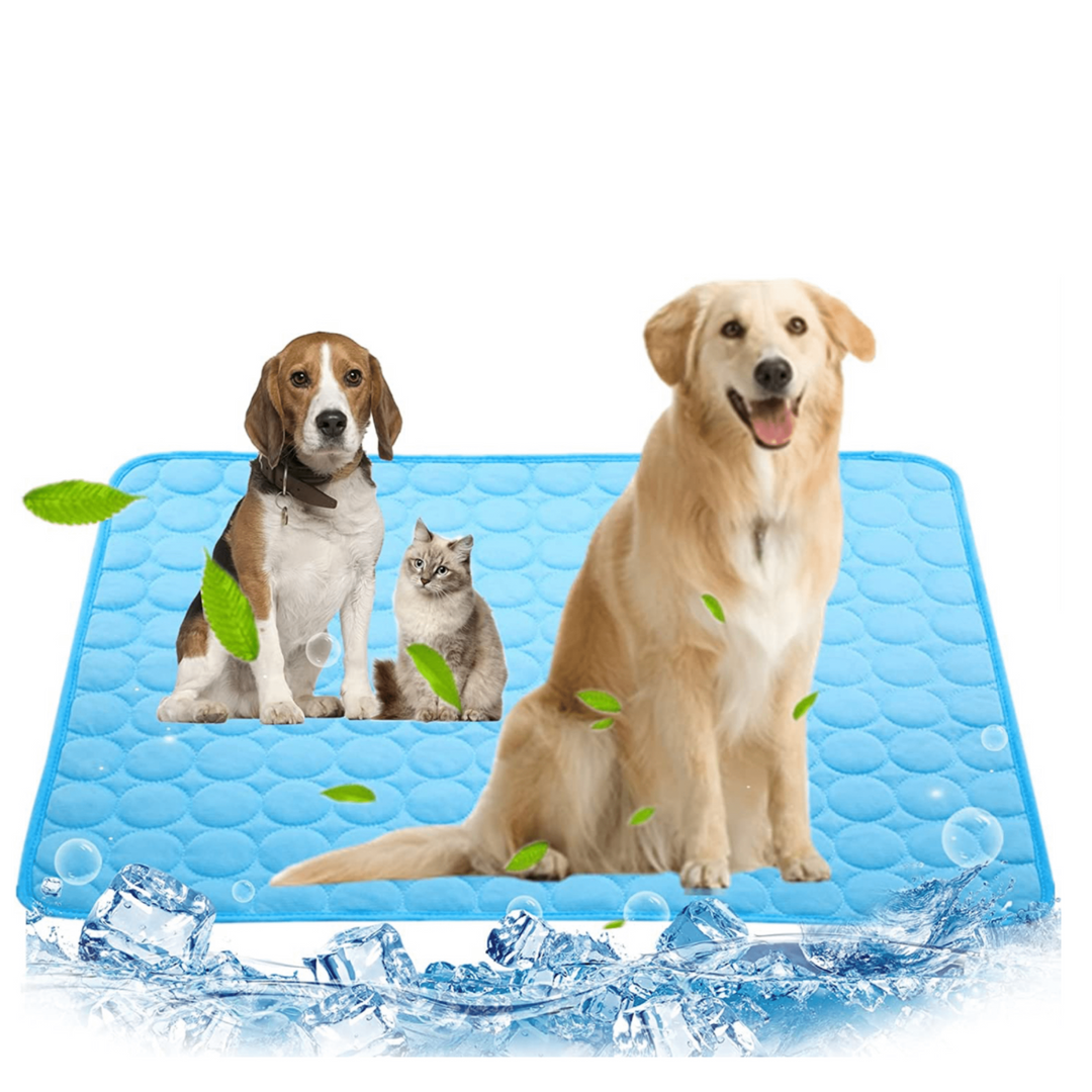 Cooling Dog Mat - CoolPet Mat Bowlift