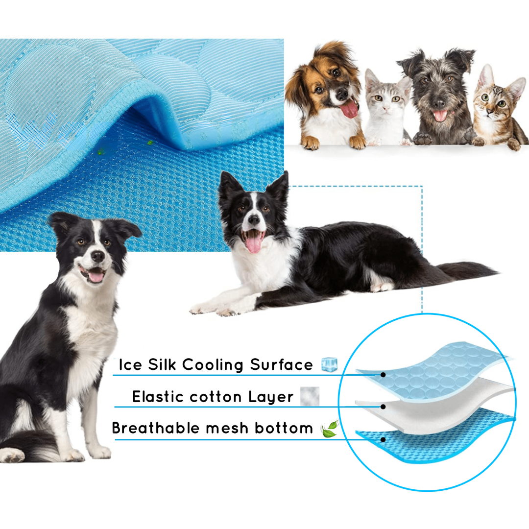 Cooling Dog Mat - CoolPet Mat Bowlift