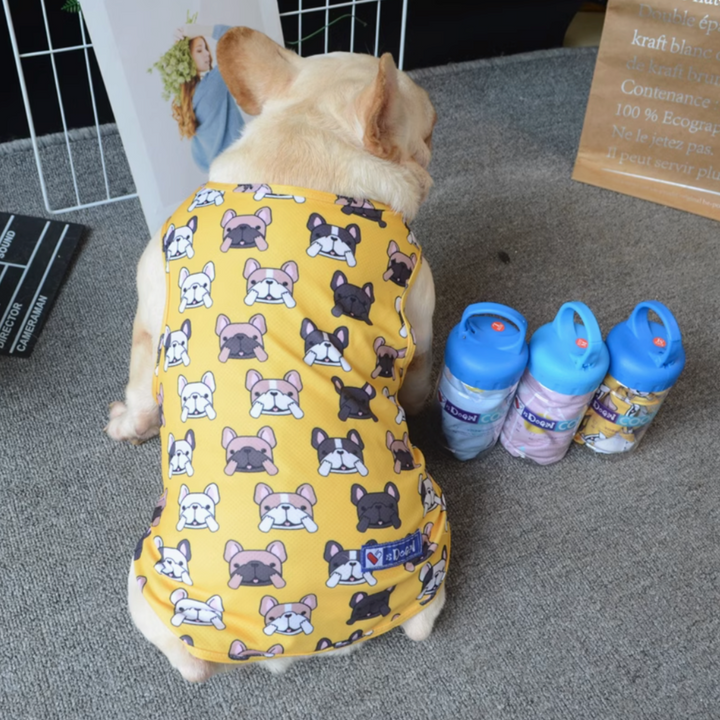 Coolify™: Summer Cooling Vest (CS17) | Bowlift