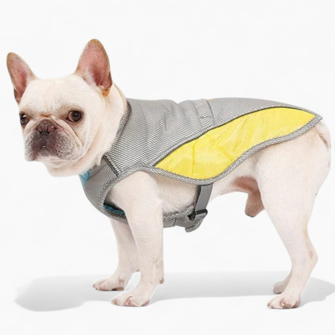Coolify™ : Cooling Vest for Frenchie (CS13) | Bowlift