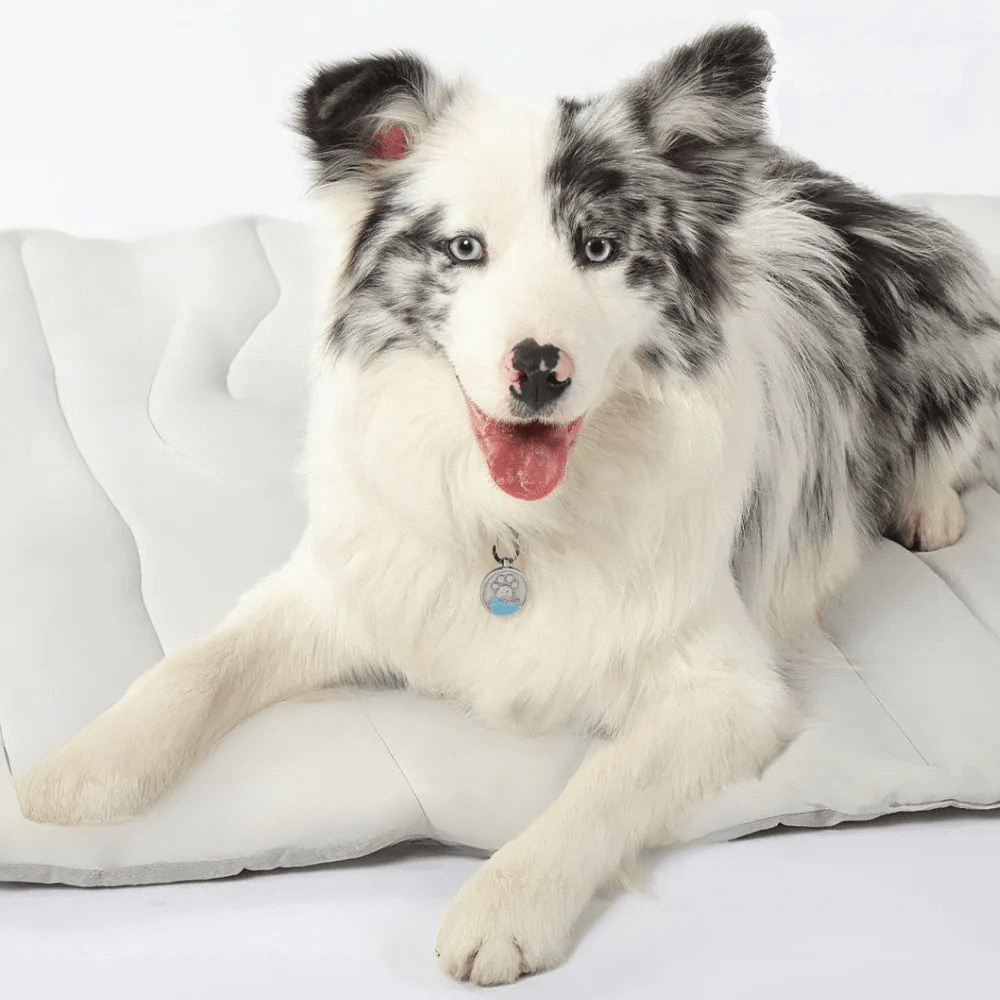 BowLift | CoolPaws Cooling Mat – Self-Cooling Dog Mat for Hot Summer Relief