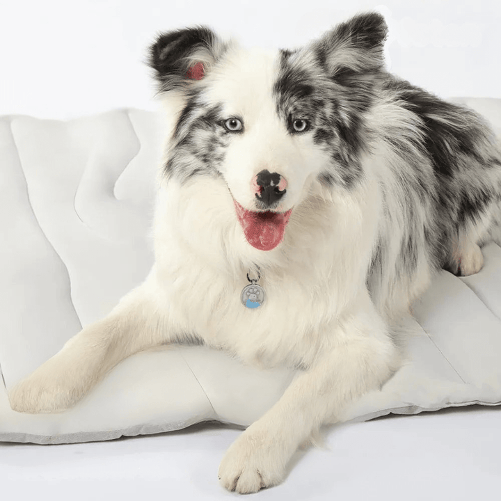 BowLift | CoolPaws Cooling Mat – Self-Cooling Dog Mat for Hot Summer Relief