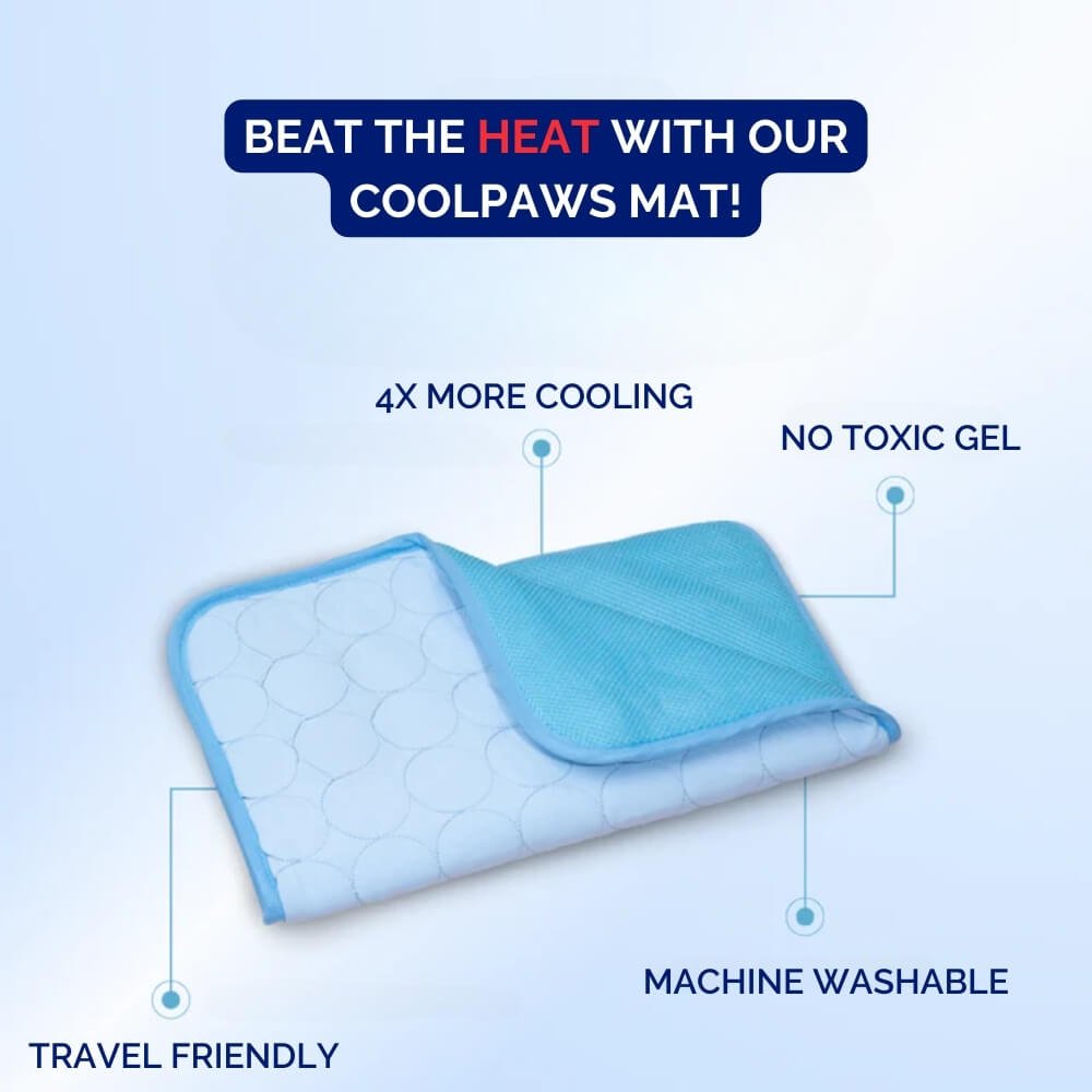 CoolPaws • Dog Cooling Mat - Dog Cooling Mat - BowLift