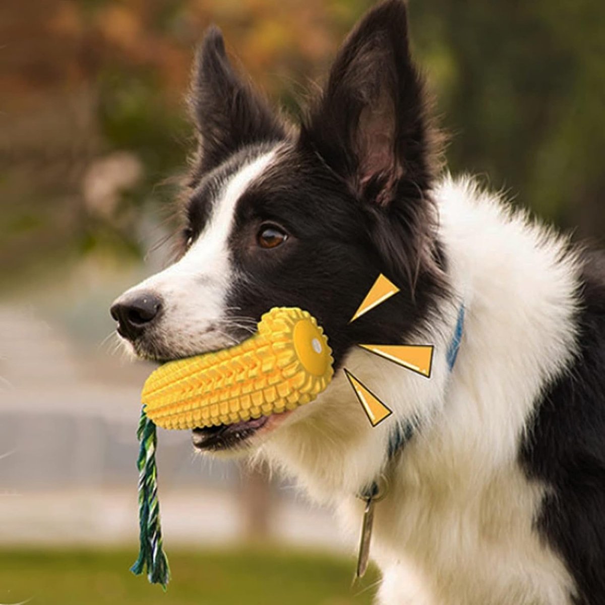 CornKnot • Squeaky Dog Toy - Squeaky Dog Toy - BowLift