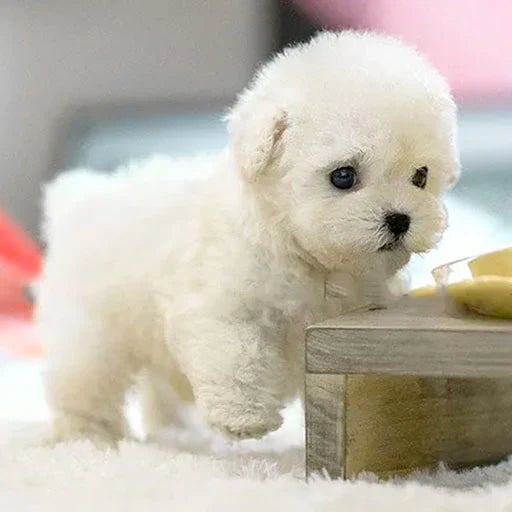 BowLift | FurMotion Friend – Lifelike Plush Dog for Kids & Collectors