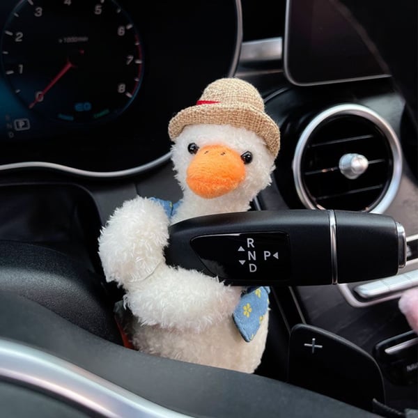 Car Decoration Dog Bowlift