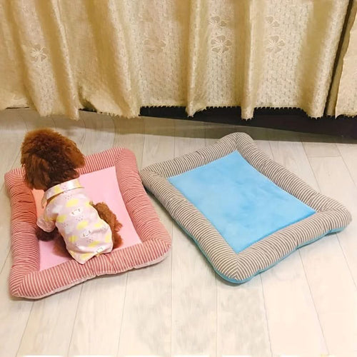 BowLift | Cooling Pet Bed for Hot Days