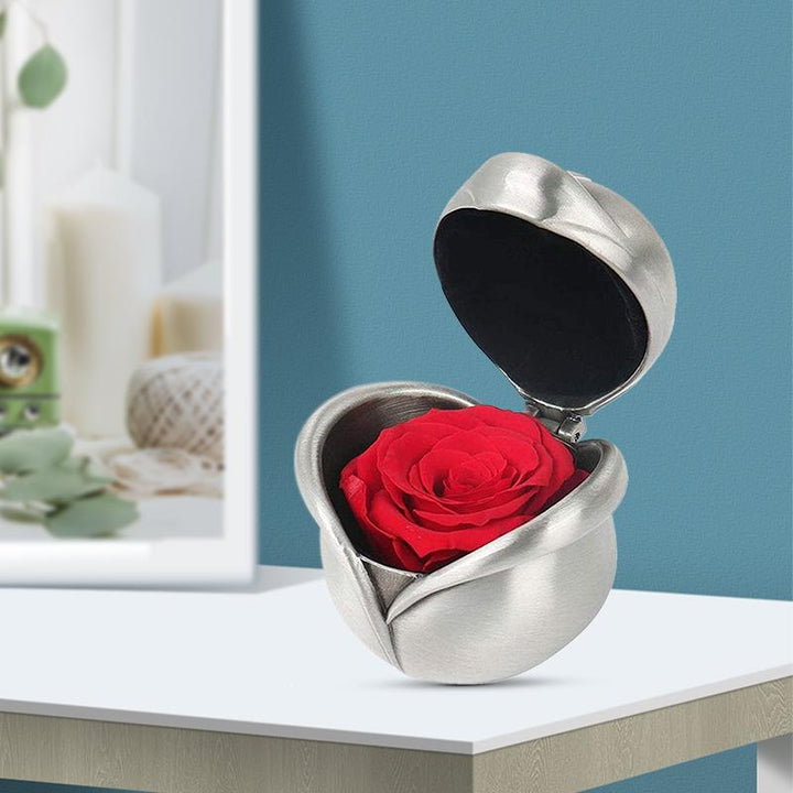BowLift | Preserved Flower Rose