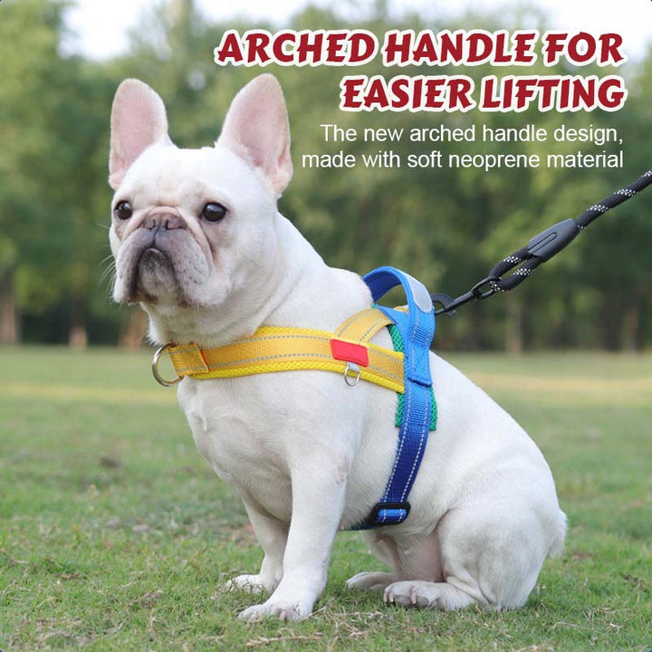 PawEase Comfort Harness — Relaxed Dressing and Unlimited Freedom for Your Dog | Bowlift