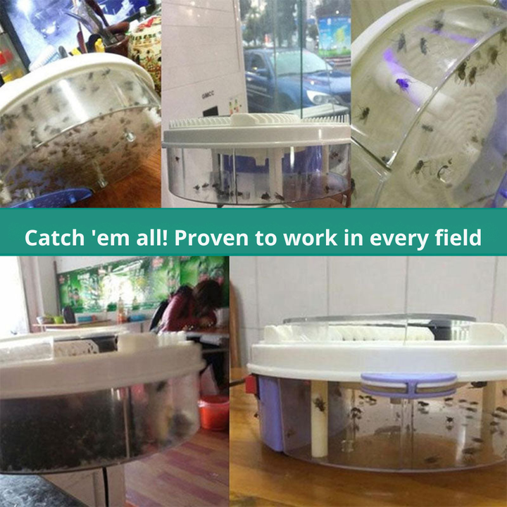 Fly trap without chemicals – SilentCatch | Bowlift