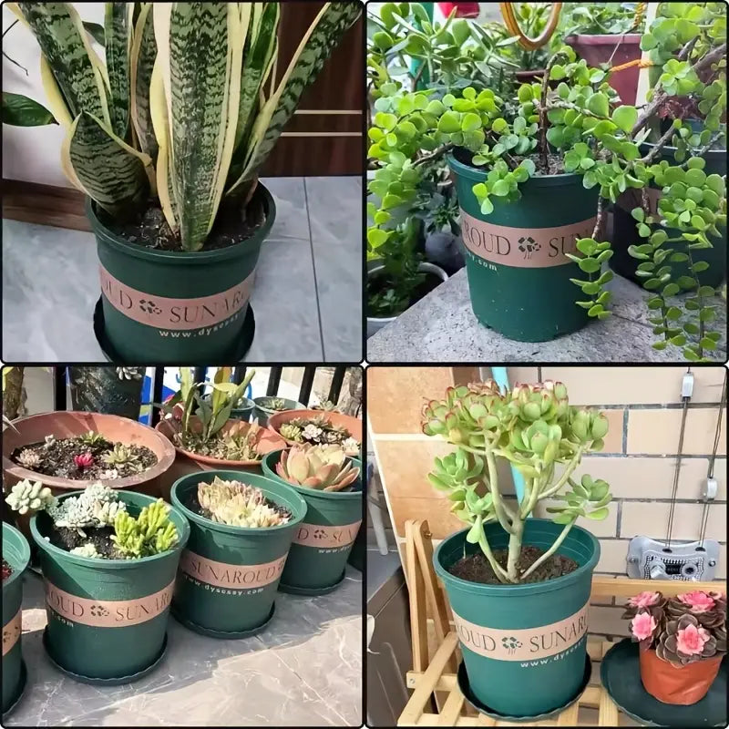 BowLift | Robust Plant Pot Made of Plastic – Weatherproof Flower Pot for Garden and Balcony