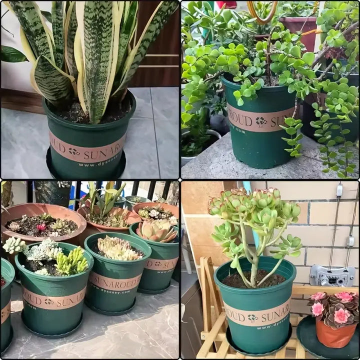 BowLift | Robust Plant Pot Made of Plastic – Weatherproof Flower Pot for Garden and Balcony
