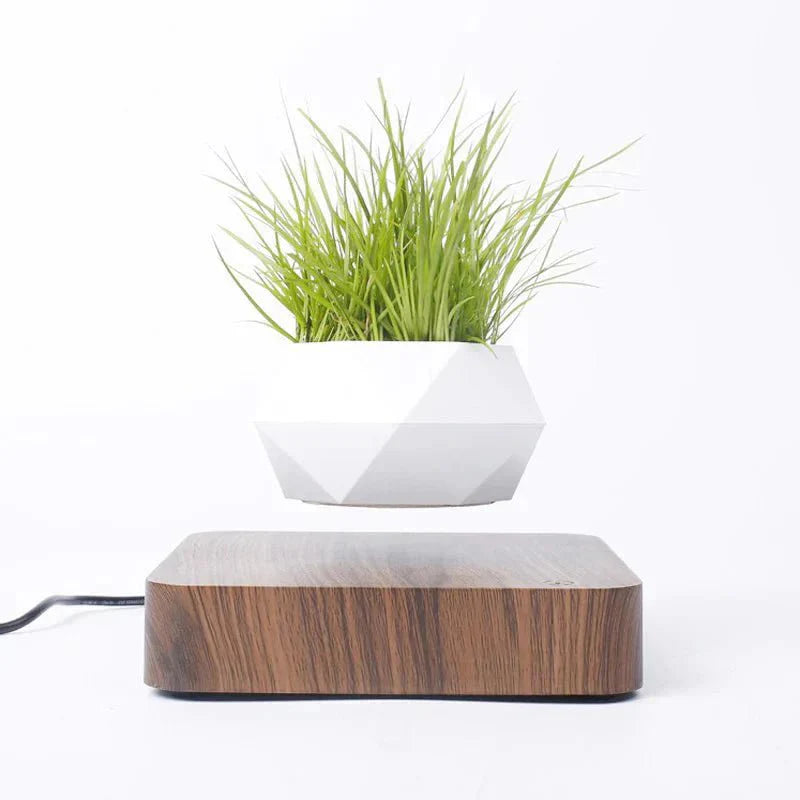 BowLift | Anti-gravity plants - Astonish your space - Nature reinvented