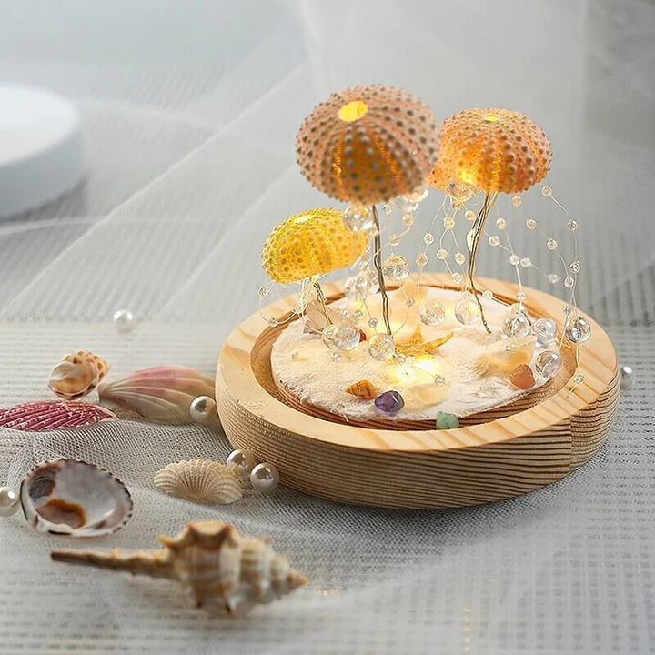 BowLift | LumiCraft – Unique DIY table lamp with natural sea shell for a cozy décor