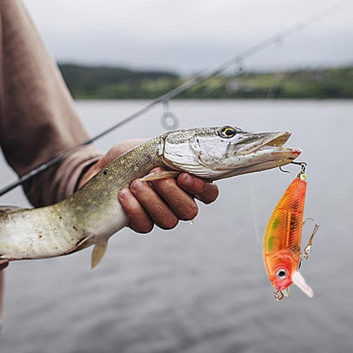 BowLift | 24 Days Christmas Countdown Fish Tackle Set