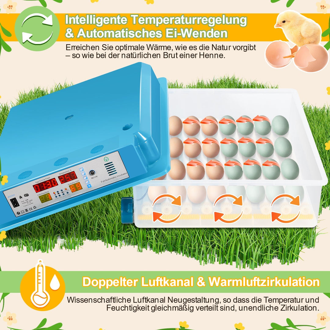 Brutautomat Fully Automatic Incubator for Chickens 64 Eggs | Bowlift
