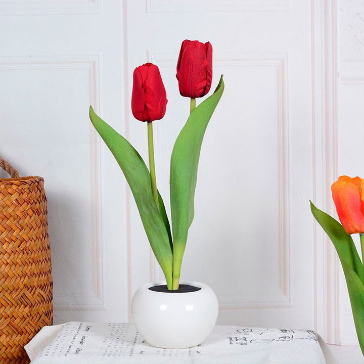 BowLift | Decorative LED Tulip Table Lamp – Florima
