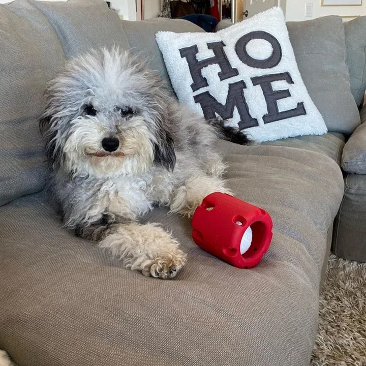 Dental Care Toys for Dogs - BounceChew Bowlift